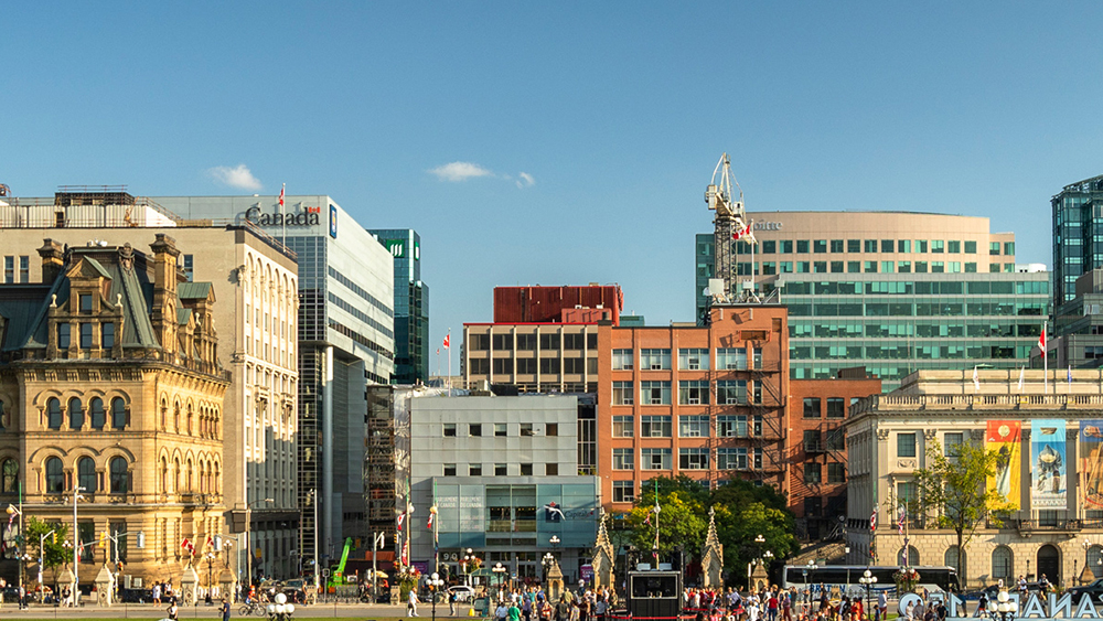 Government IT support